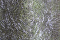 Hylton Red House fibreglass roof work